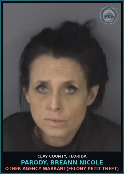 CCW arrest card for PARODY, BREANN NICOLE in Clay County: OTHER AGENCY WARRANT(FELONY PETIT THEFT)