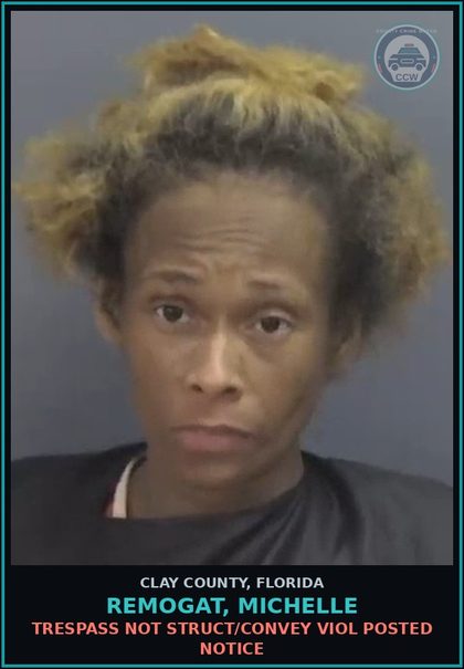 CCW arrest card for REMOGAT, MICHELLE in Clay County: TRESPASS NOT STRUCT/CONVEY VIOL POSTED NOTICE