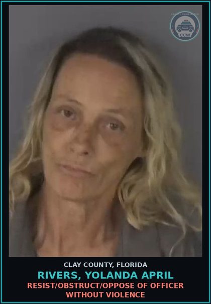 CCW arrest card for RIVERS, YOLANDA APRIL in Clay County: BREACH OF THE PEACE