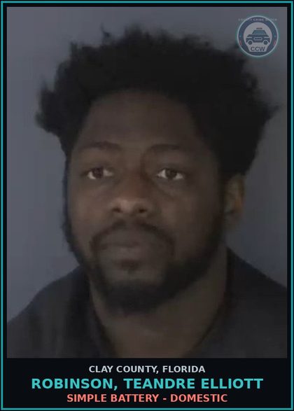 CCW arrest card for ROBINSON, TEANDRE ELLIOTT in Clay County: SIMPLE BATTERY - DOMESTIC