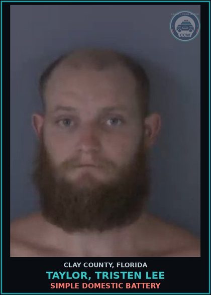CCW arrest card for TAYLOR, TRISTEN LEE in Clay County: SIMPLE DOMESTIC BATTERY