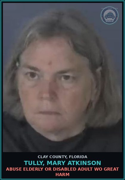 CCW arrest card for TULLY, MARY ATKINSON in Clay County: ABUSE ELDERLY OR DISABLED ADULT WO GREAT HARM