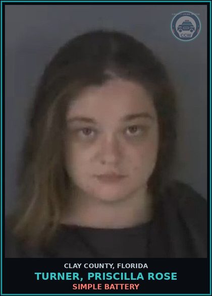 CCW arrest card for TURNER, PRISCILLA ROSE in Clay County: SIMPLE BATTERY