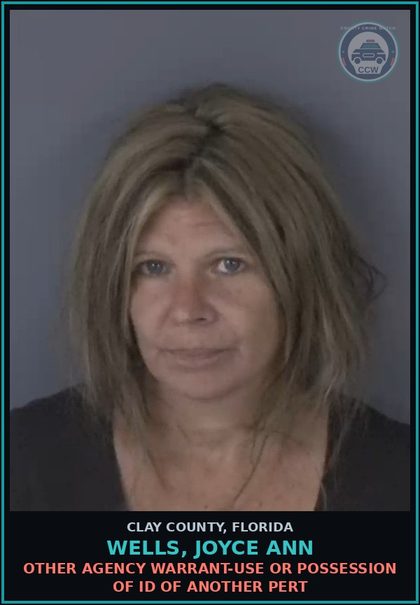 CCW arrest card for WELLS, JOYCE ANN in Clay County: OTHER AGENCY WARRANT-USE OR POSSESSION OF ID OF ANOTHER PERT