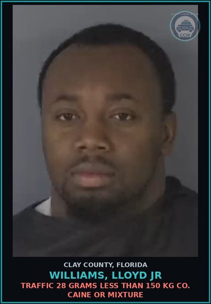 CCW arrest card for WILLIAMS, LLOYD JR in Clay County: TRAFFIC 28 GRAMS LESS THAN 150 KG COCAINE OR MIXTURE