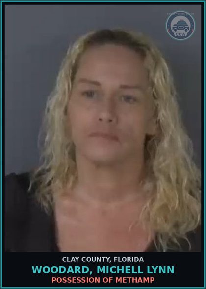 CCW arrest card for WOODARD, MICHELL LYNN in Clay County: POSSESSION OF Methamp