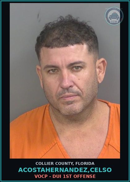 CCW arrest card for ACOSTAHERNANDEZ,CELSO in Collier County: VOCP - DUI 1ST OFFENSE