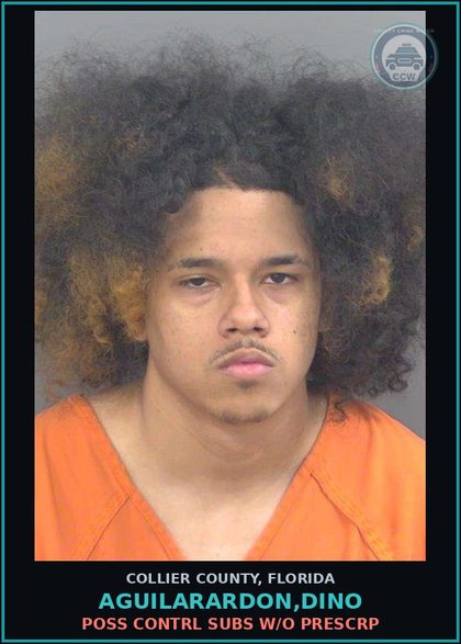 CCW arrest card for AGUILARARDON,DINO in Collier County: POSS CONTRL SUBS W/O PRESCRIPTION