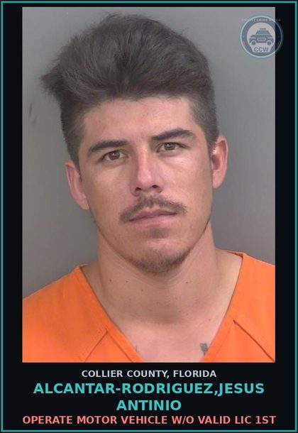 CCW arrest card for ALCANTAR-RODRIGUEZ,JESUS ANTINIO in Collier County: OPERATE MOTOR VEHICLE W/O VALID LIC 1ST