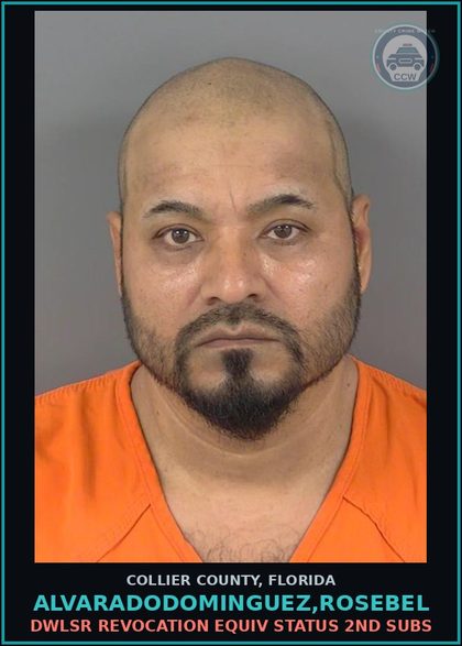 CCW arrest card for ALVARADODOMINGUEZ,ROSEBEL in Collier County: DWLSR REVOCATION EQUIV STATUS 2ND SUBS