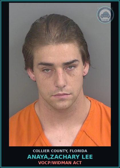 CCW arrest card for ANAYA,ZACHARY LEE in Collier County: VOCP/WIDMAN ACT