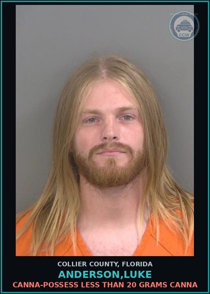 CCW arrest card for ANDERSON,LUKE in Collier County: Canna-POSSESS LESS THAN 20 GRAMS Canna