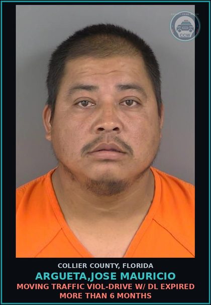 CCW arrest card for ARGUETA,JOSE MAURICIO in Collier County: MOVING TRAFFIC VIOL-DRIVE W/ DL EXPIRED MORE THAN 6 MONTHS