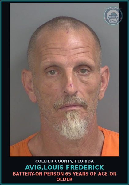 CCW arrest card for AVIG,LOUIS FREDERICK in Collier County: BATTERY-ON PERSON 65 YEARS OF AGE OR OLDER
