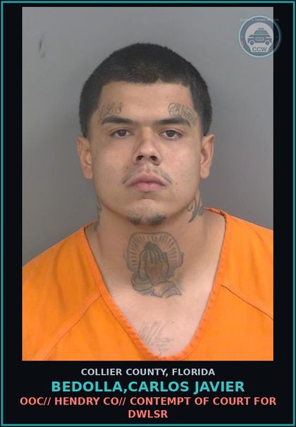 CCW arrest card for BEDOLLA,CARLOS JAVIER in Collier County: OOC// HENDRY CO// CONTEMPT OF COURT FOR DWLSR