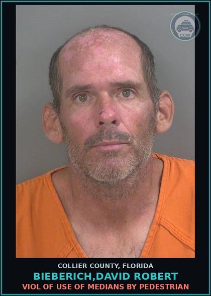 CCW arrest card for BIEBERICH,DAVID ROBERT in Collier County: VIOL OF USE OF MEDIANS BY PEDESTRIAN