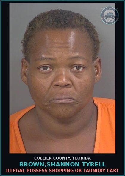 CCW arrest card for BROWN,SHANNON TYRELL in Collier County: ILLEGAL POSSESS SHOPPING OR LAUNDRY CART