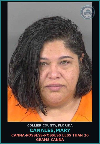 CCW arrest card for CANALES,MARY in Collier County: Canna-POSSESS-POSSESS LESS THAN 20 GRAMS Canna
