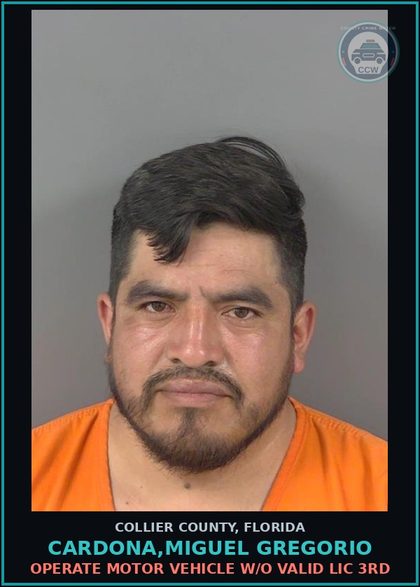 CCW arrest card for CARDONA,MIGUEL GREGORIO in Collier County: OPERATE MOTOR VEHICLE W/O VALID LIC 3RD