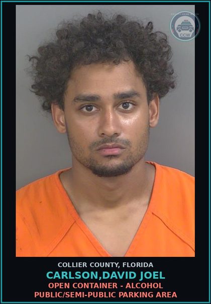 CCW arrest card for CARLSON,DAVID JOEL in Collier County: OPEN CONTAINER - ALCOHOL PUBLIC/SEMI-PUBLIC PARKING AREA