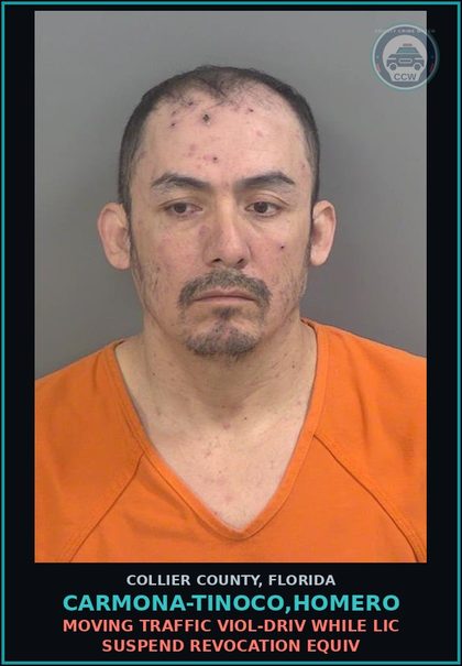 CCW arrest card for CARMONA-TINOCO,HOMERO in Collier County: MOVING TRAFFIC VIOL-DRIV WHILE LIC SUSPEND REVOCATION EQUIV