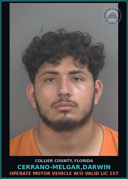 CCW arrest card for CERRANO-MELGAR,DARWIN in Collier County: OPERATE MOTOR VEHICLE W/O VALID LIC 1ST