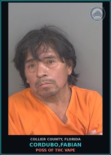 CCW arrest card for CORDUBO,FABIAN in Collier County: POSS OF THC VAPE