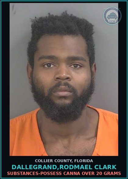 CCW arrest card for DALLEGRAND,RODMAEL CLARK in Collier County: DRUGS-POSSESS Canna OVER 20 GRAMS