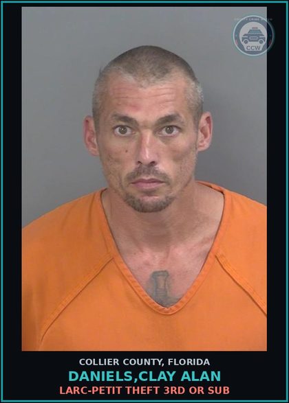 CCW arrest card for DANIELS,CLAY ALAN in Collier County: LARC-PETIT THEFT 3RD OR SUB