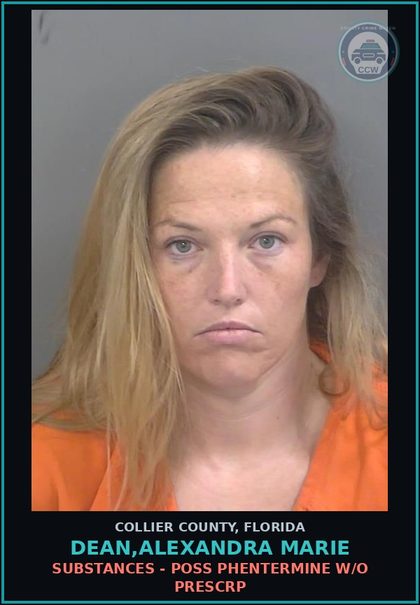 CCW arrest card for DEAN,ALEXANDRA MARIE in Collier County: PETIT THEFT MERCH FARM TRANSIT 2+ PRIOR CONV
