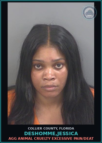 CCW arrest card for DESHOMME,JESSICA in Collier County: AGG ANIMAL CRUELTY EXCESSIVE PAIN/DEAT