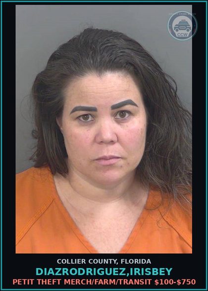 CCW arrest card for DIAZRODRIGUEZ,IRISBEY in Collier County: PETIT THEFT MERCH/FARM/TRANSIT $100-$750