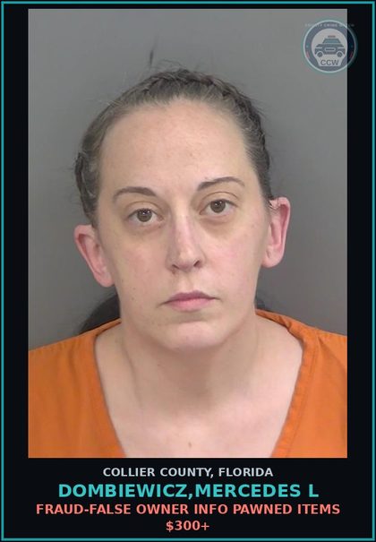 CCW arrest card for DOMBIEWICZ,MERCEDES L in Collier County: STOLEN PROP-DEAL IN-DEALING TRAFFIC STOLEN PROPERTY