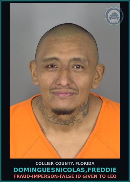 CCW arrest card for DOMINGUESNICOLAS,FREDDIE in Collier County: FTA - POSSESSION OF contr substance W/O PRESCRIPTION