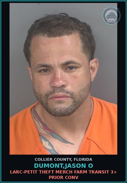 CCW arrest card for DUMONT,JASON O in Collier County: LARC-PETIT THEFT MERCH FARM TRANSIT 3+ PRIOR CONV