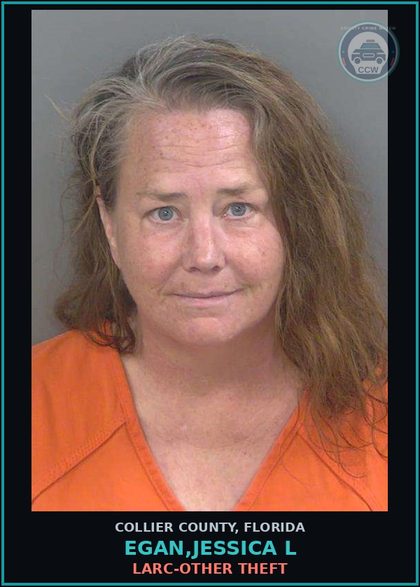 CCW arrest card for EGAN,JESSICA L in Collier County: LARC-OTHER THEFT