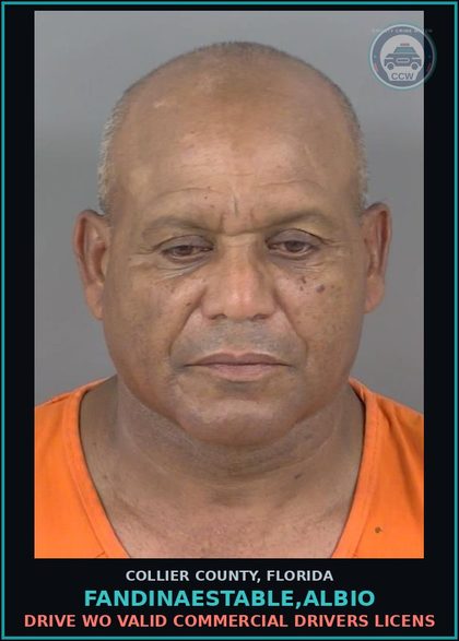 CCW arrest card for FANDINAESTABLE,ALBIO in Collier County: DRIVE WO VALID COMMERCIAL DRIVERS LICENS