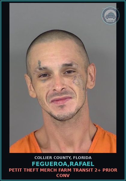 CCW arrest card for FEGUEROA,RAFAEL in Collier County: PETIT THEFT MERCH FARM TRANSIT 2+ PRIOR CONV