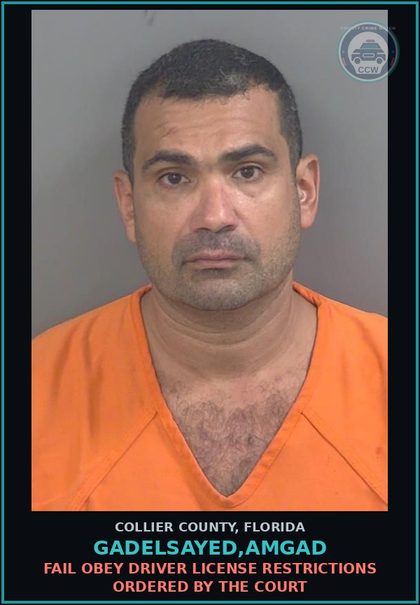 CCW arrest card for GADELSAYED,AMGAD in Collier County: FAIL OBEY DRIVER LICENSE RESTRICTIONS ORDERED BY THE COURT