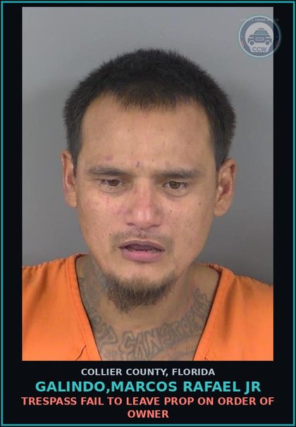 CCW arrest card for GALINDO,MARCOS RAFAEL JR in Collier County: FTA - DWLSR 2ND OFFENSE