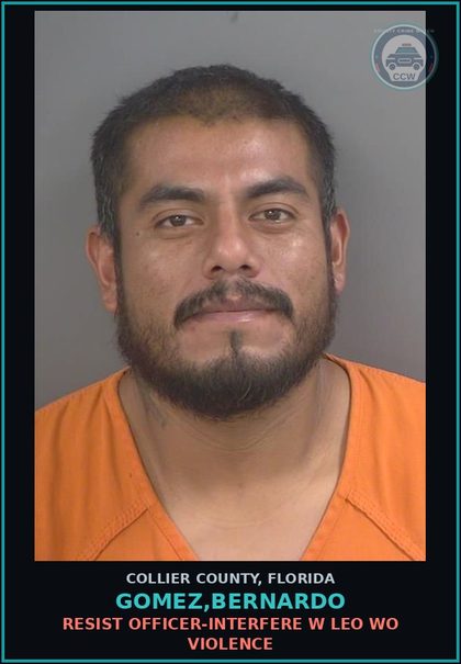 CCW arrest card for GOMEZ,BERNARDO in Collier County: RESIST OFFICER-INTERFERE W LEO WO VIOLENCE
