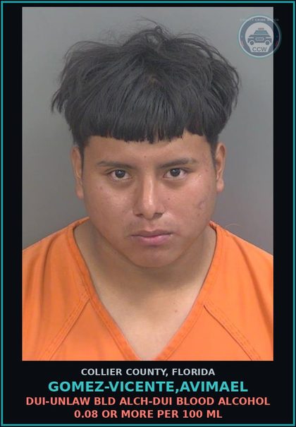 CCW arrest card for GOMEZ-VICENTE,AVIMAEL in Collier County: DUI-UNLAW BLD ALCH-DUI BLOOD ALCOHOL 0.08 OR MORE PER 100 ML
