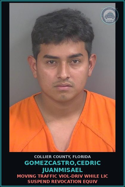 CCW arrest card for GOMEZCASTRO,CEDRIC JUANMISAEL in Collier County: MOVING TRAFFIC VIOL-DRIV WHILE LIC SUSPEND REVOCATION EQUIV