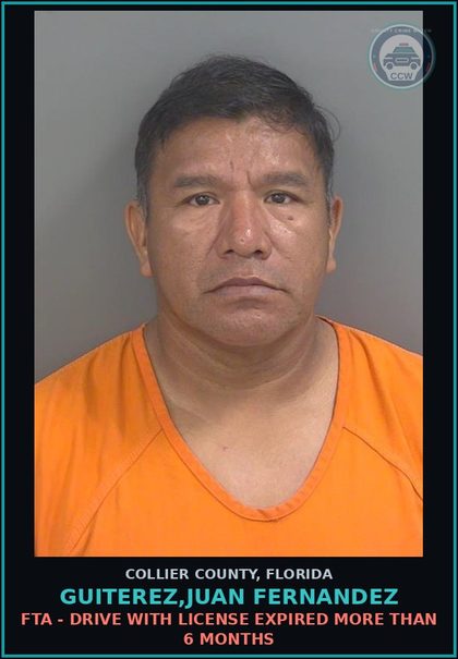 CCW arrest card for GUITEREZ,JUAN FERNANDEZ in Collier County: FTA - DRIVE WITH LICENSE EXPIRED MORE THAN 6 MONTHS