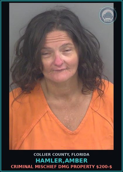 CCW arrest card for HAMLER,AMBER in Collier County: CRIMINAL MISCHIEF DMG PROPERTY $200-$
