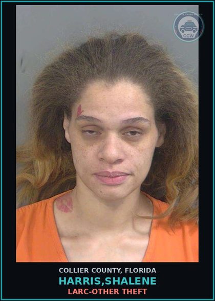 CCW arrest card for HARRIS,SHALENE in Collier County: LARC-OTHER THEFT