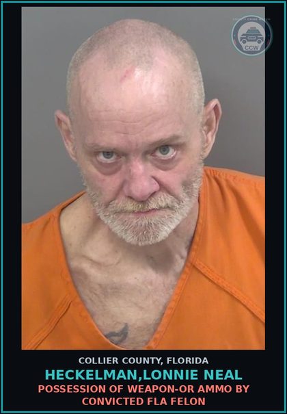 CCW arrest card for HECKELMAN,LONNIE NEAL in Collier County: LARC-PETIT THEFT MERCH FARM TRANSIT 2+ PRIOR CONV