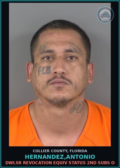 CCW arrest card for HERNANDEZ,ANTONIO in Collier County: DWLSR REVOCATION EQUIV STATUS 2ND SUBS O