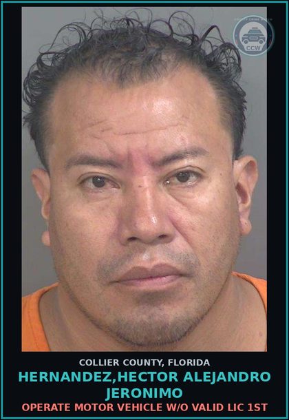 CCW arrest card for HERNANDEZ,HECTOR ALEJANDRO JERONIMO in Collier County: OPERATE MOTOR VEHICLE W/O VALID LIC 1ST