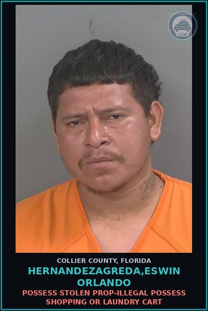 CCW arrest card for HERNANDEZAGREDA,ESWIN ORLANDO in Collier County: POSSESS STOLEN PROP-ILLEGAL POSSESS SHOPPING OR LAUNDRY CART